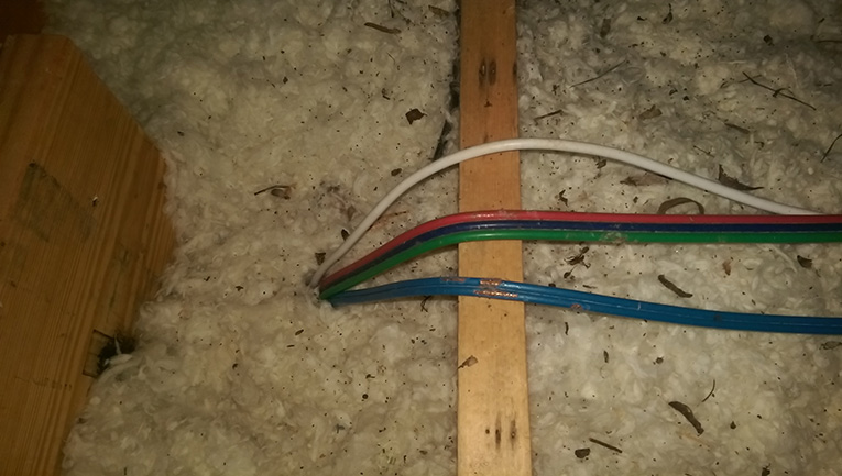 chewed wires in attic