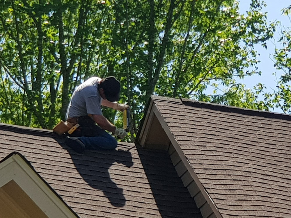 inspecting a roof for signs of a critter