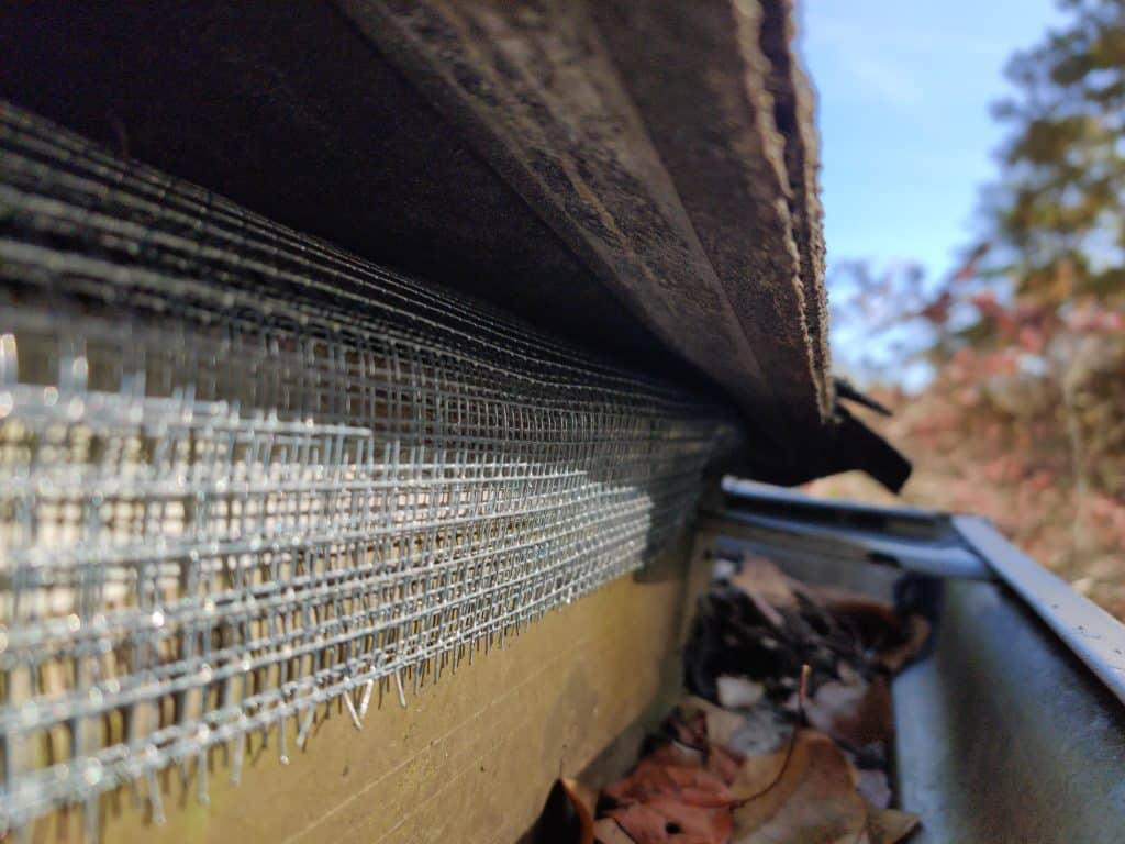 Squirrel Proofing Over Builders Gap