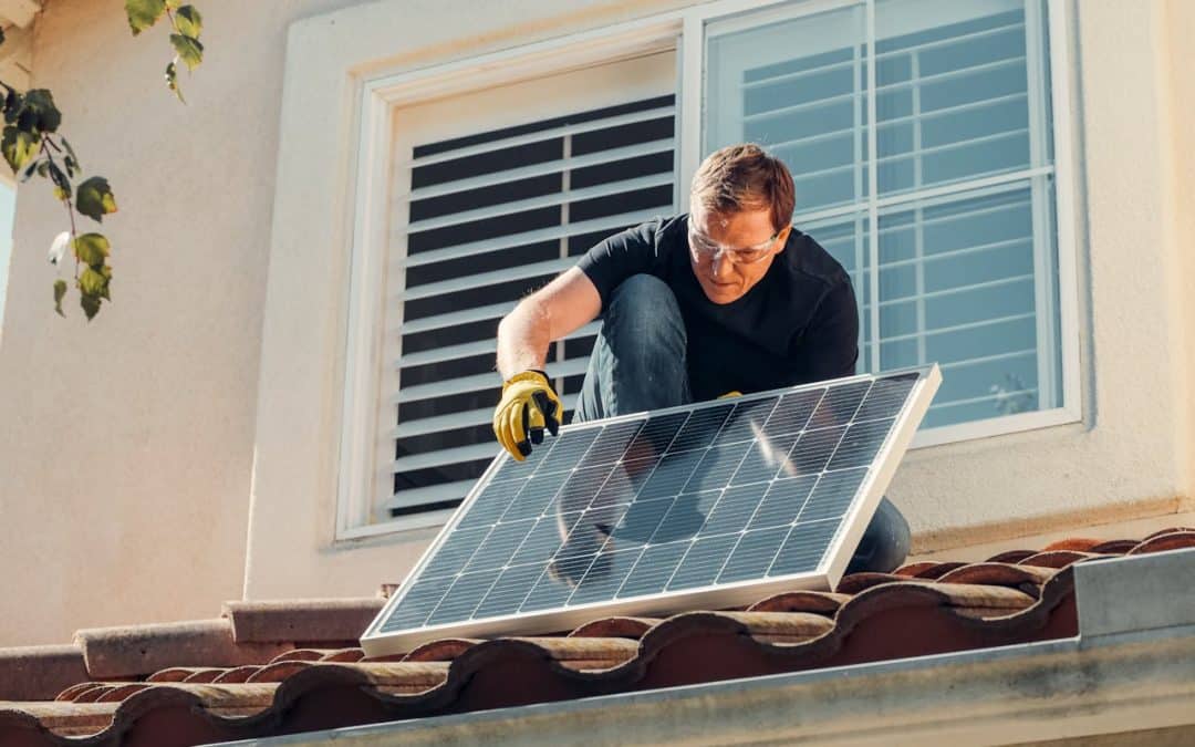 How to Protect Solar Panels from Wildlife Intrusion