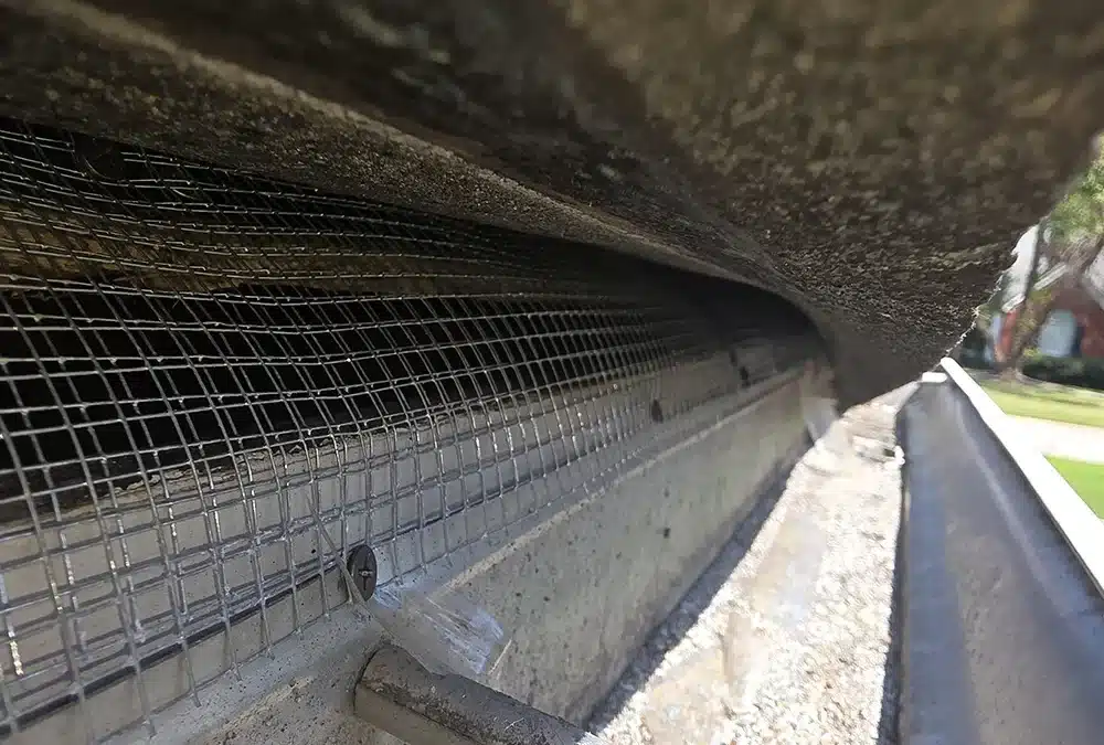 How to Keep Animals Out of Your Home in Norcross, Atlanta, and Lawrenceville