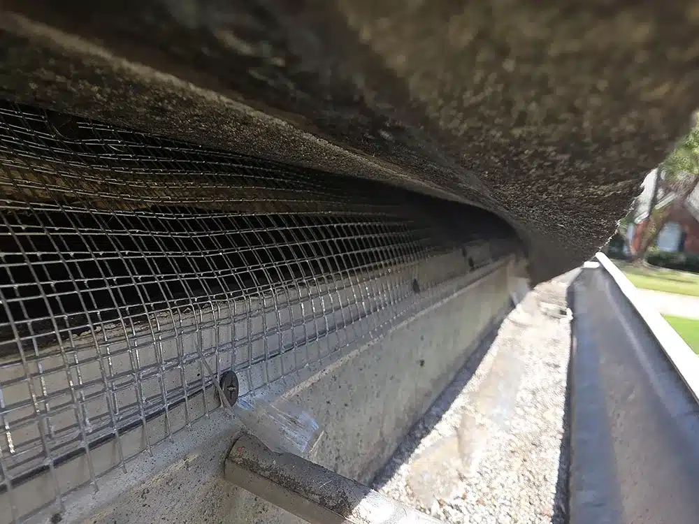 keep-animals-out-featured-image animal proofing behind gutters