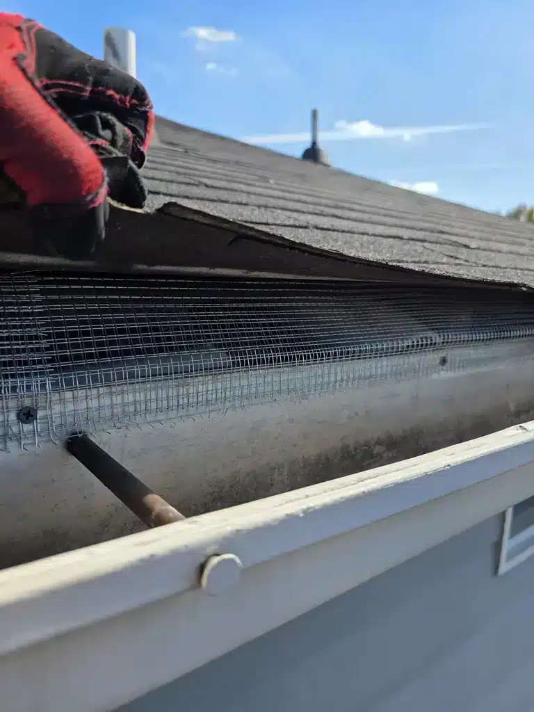 roof gap entry exclusion for birds