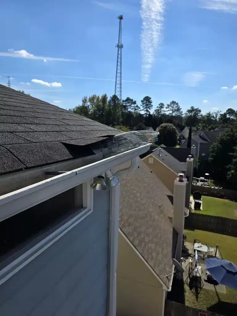 roof gap entry exclusion tunnel for birds