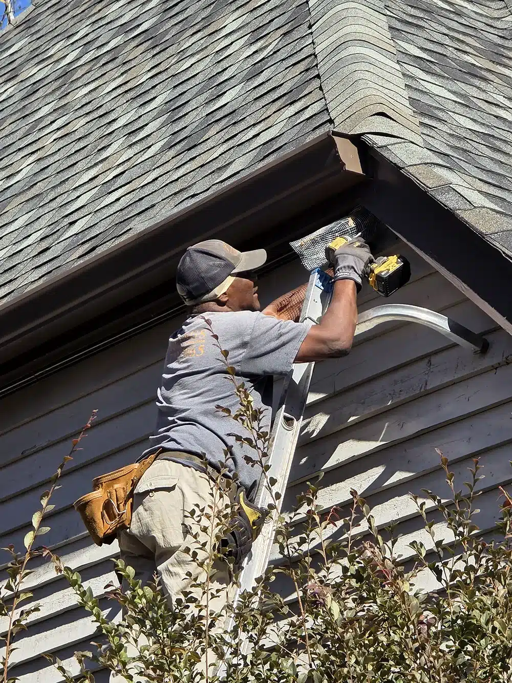 installing squirrel exit tunnel