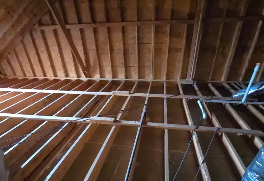 Attic Decontamination