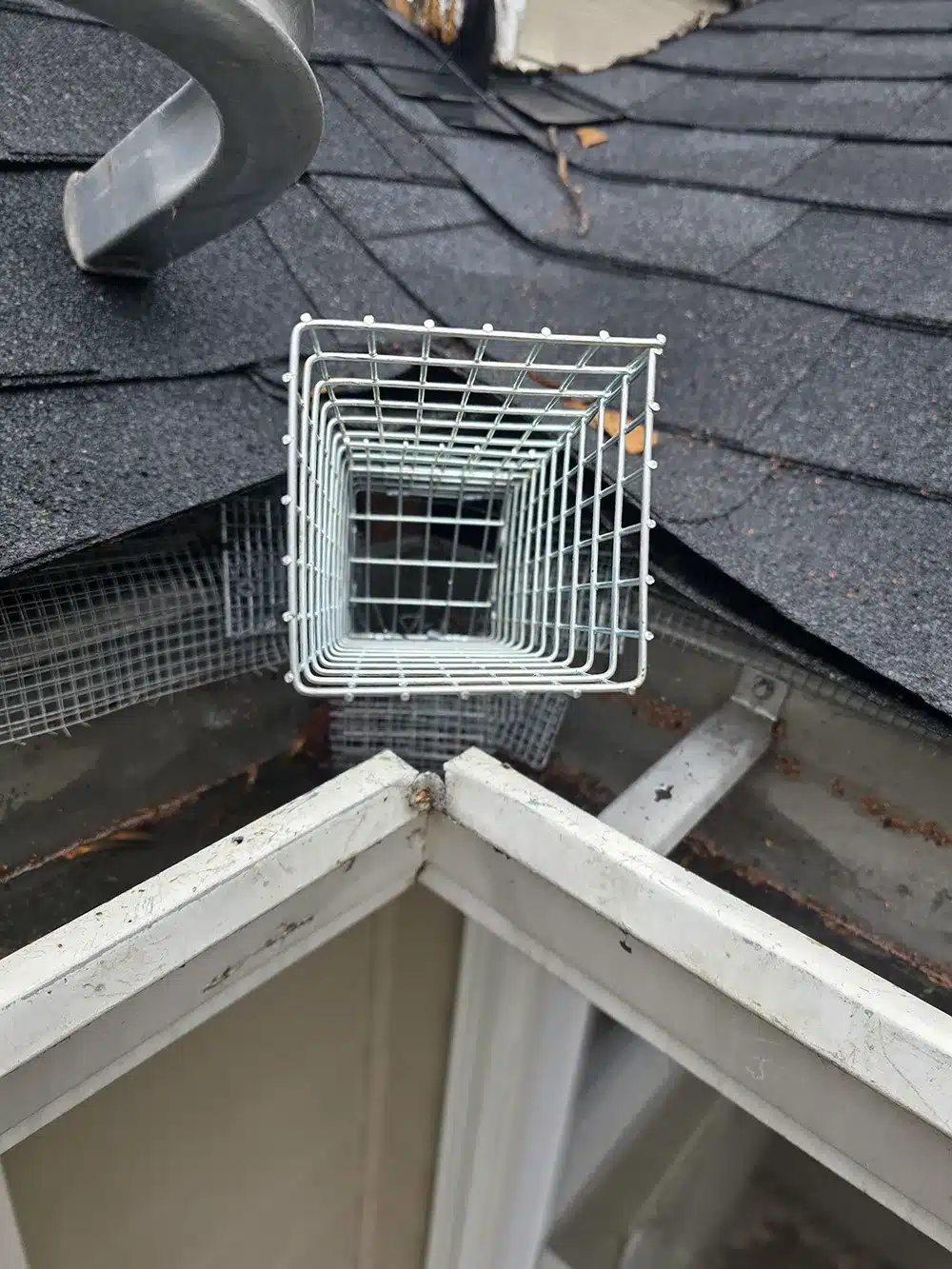 animal exclusion tunnel for roof rats