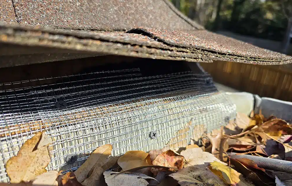 roof rat exclusion fencing on roof line
