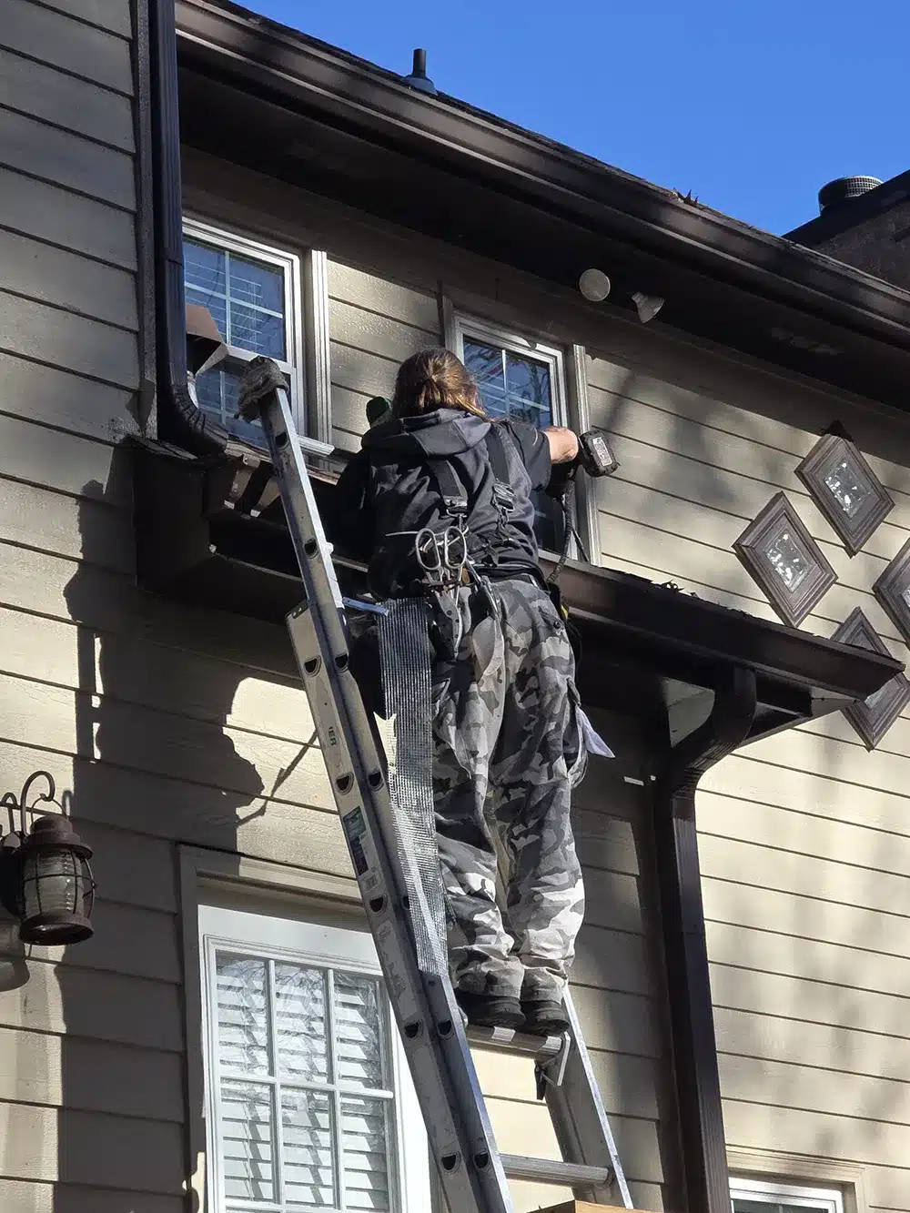 Attic Kings professional inspecting for roof rats