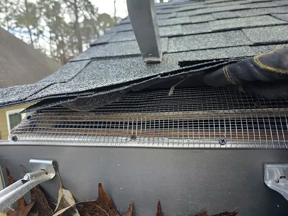 squirrel-removal-jan-2026-featured-image squirrel removal fencing on roof line