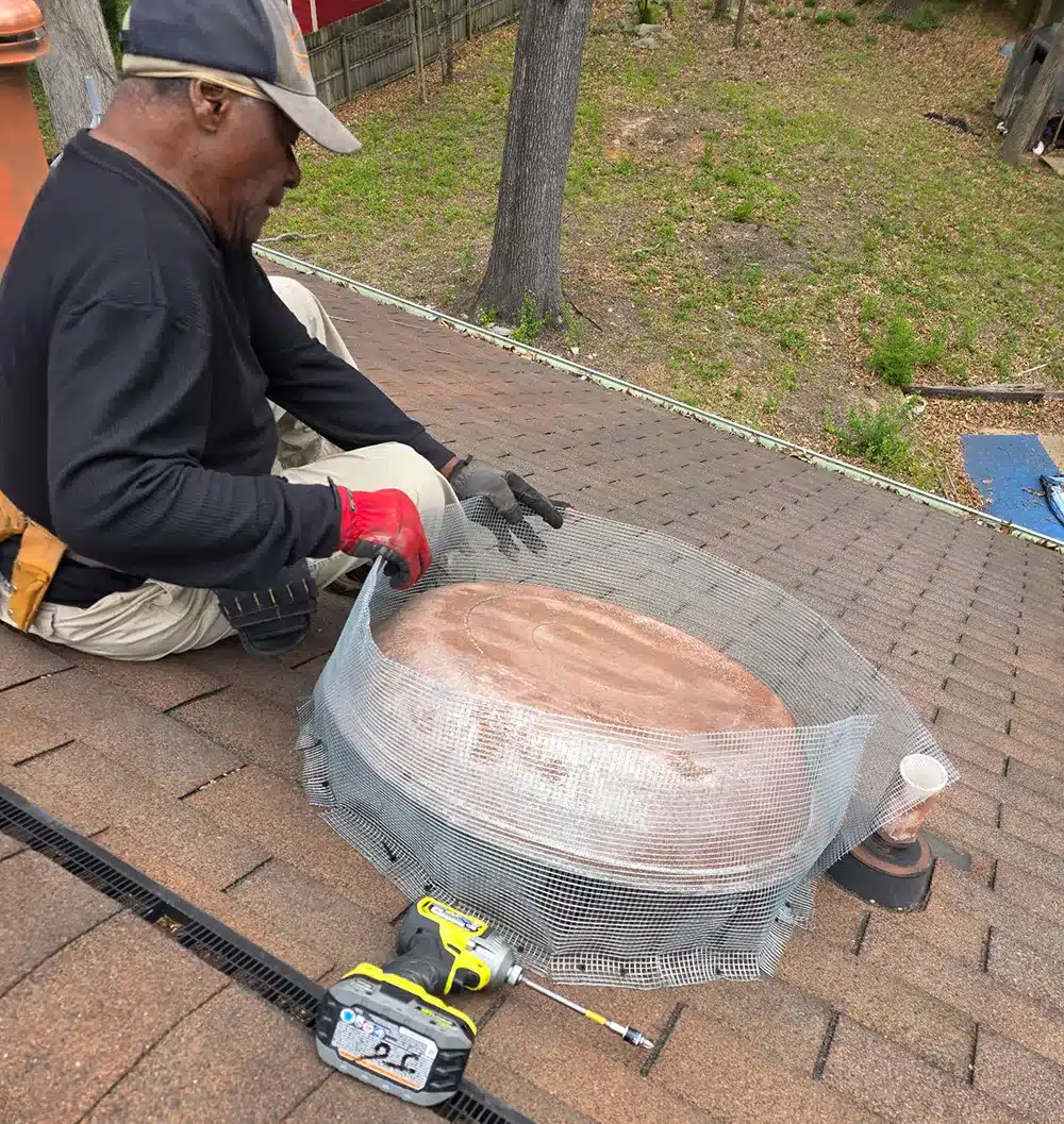 permanent squirrel exclusion