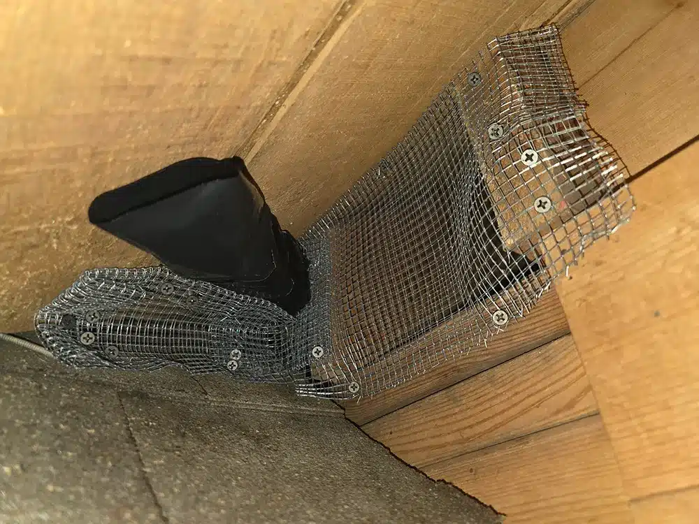bat seal tunnel
